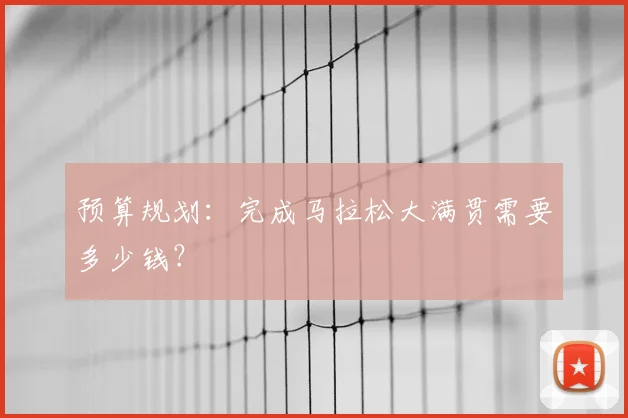 预算规划:完成马拉松大满贯需要多少钱?